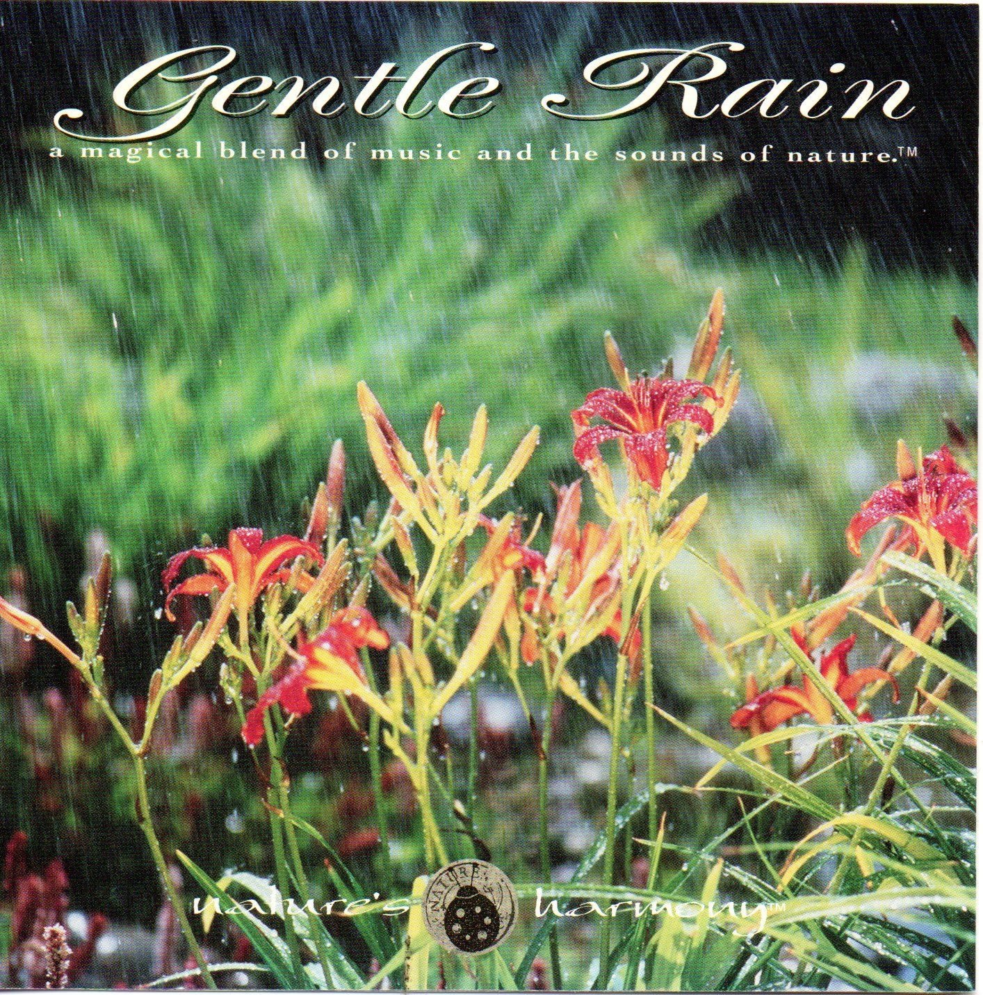 Gentle Rain - 7458