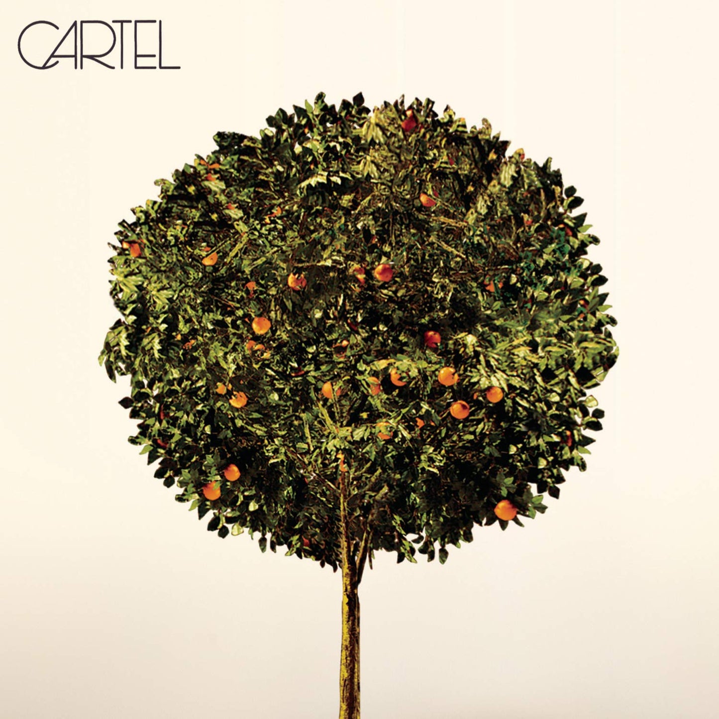 Cartel - 9591