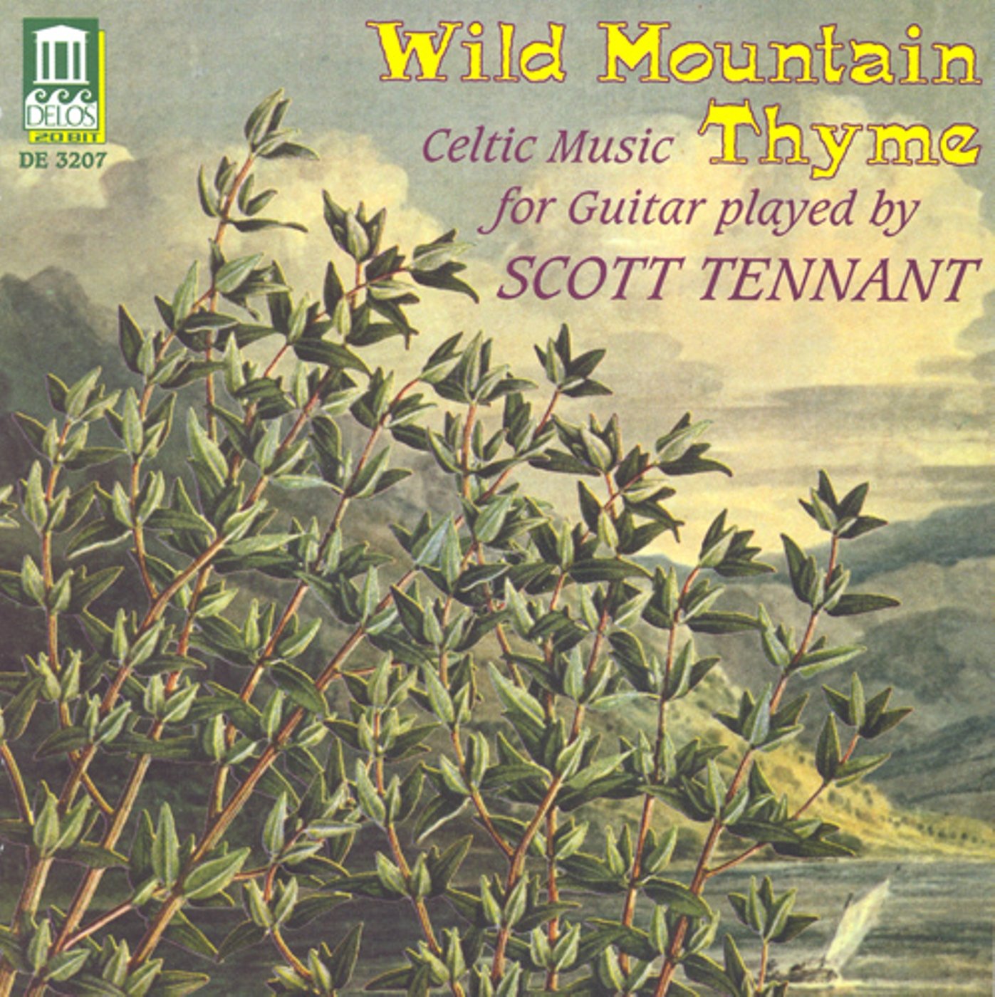 Wild Mountain Thyme - 6406