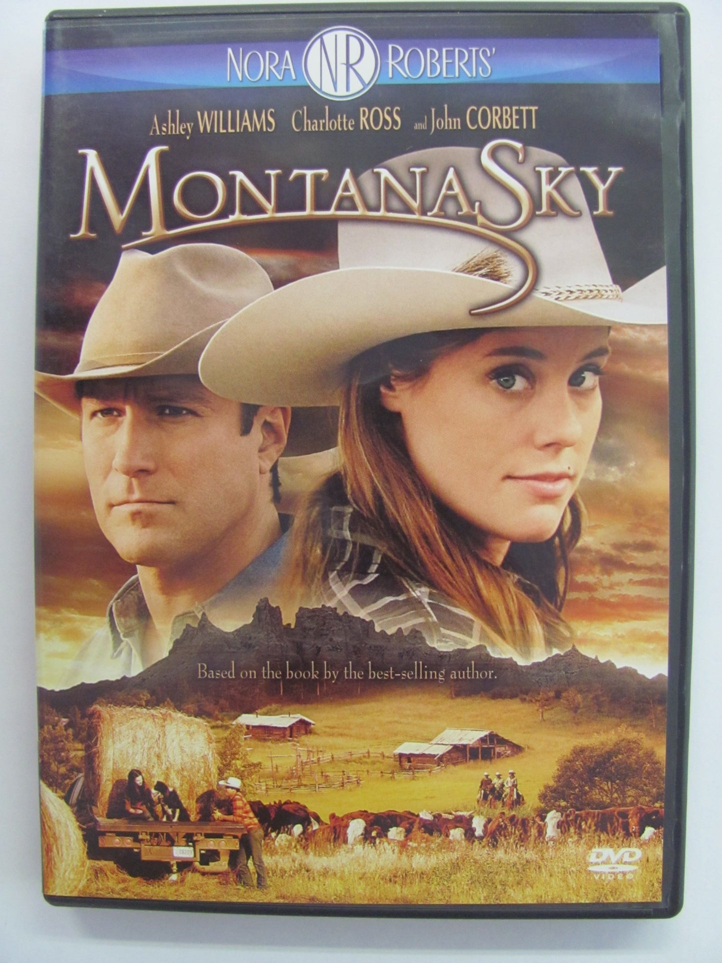Montana Sky - 4907