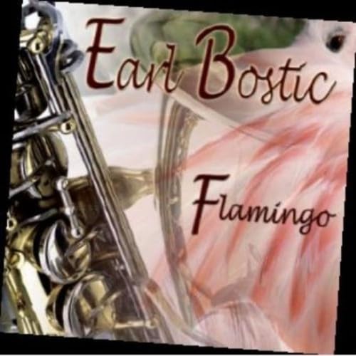 Flamingo - 8637