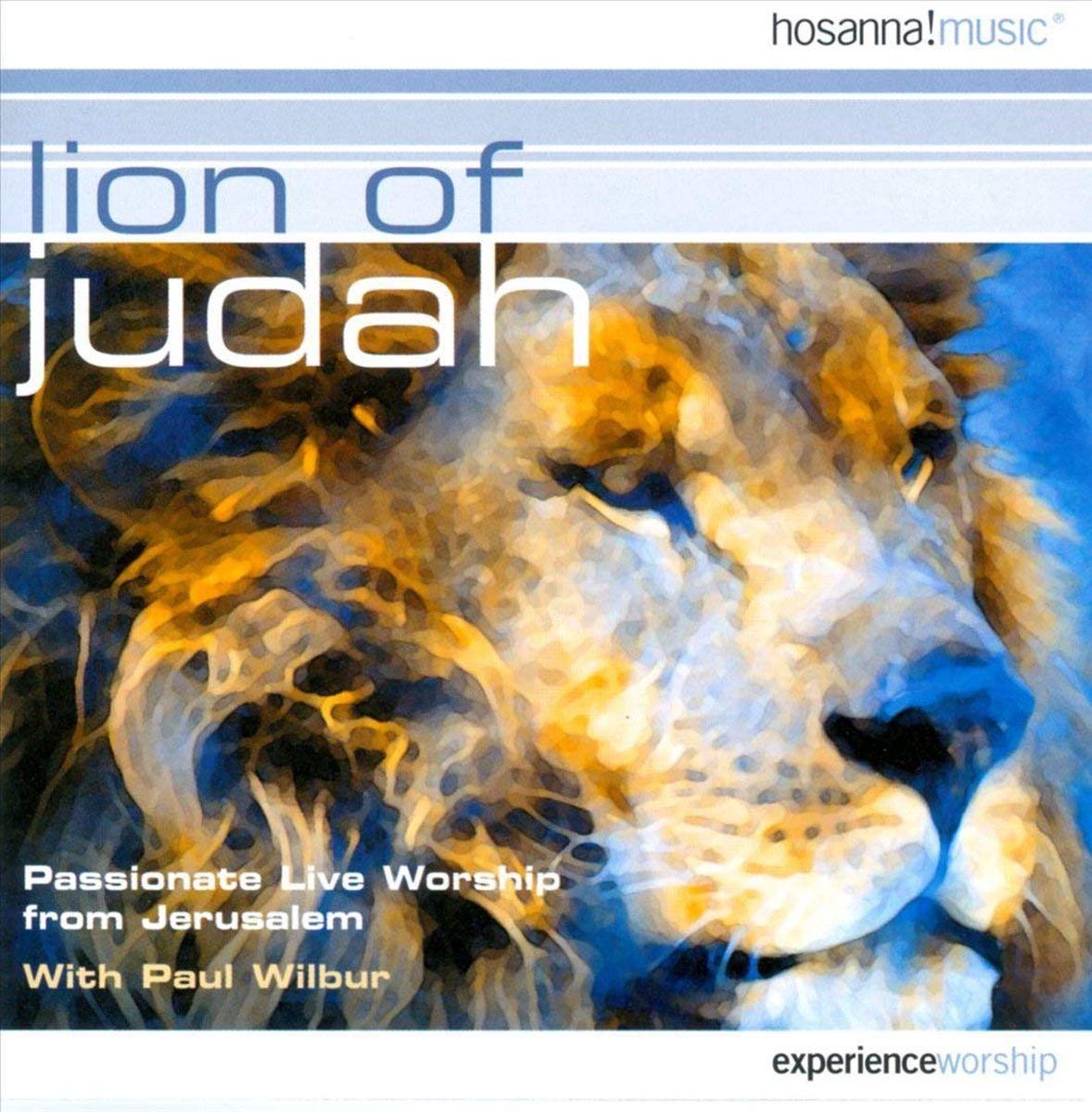 Lion Of Judah - 8196