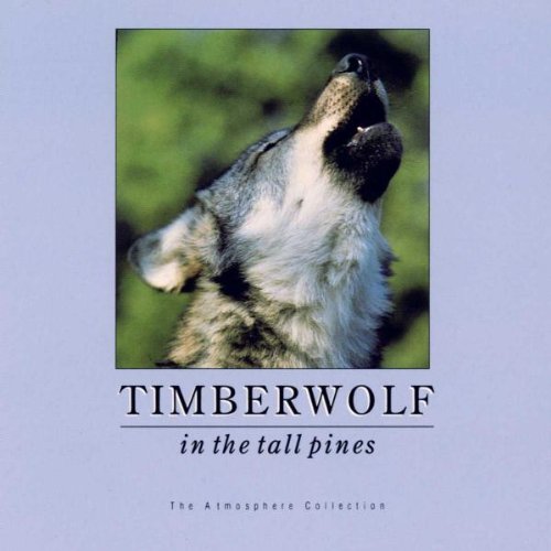 In the Tall Pines - 8381