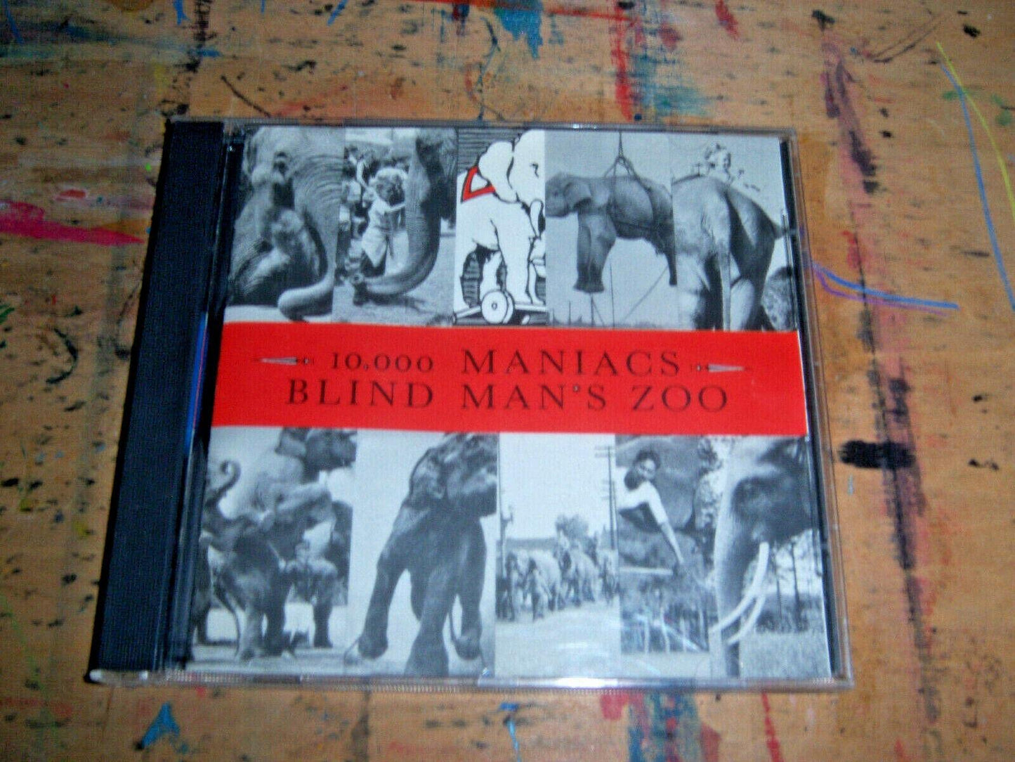Blind Man's Zoo - 6071