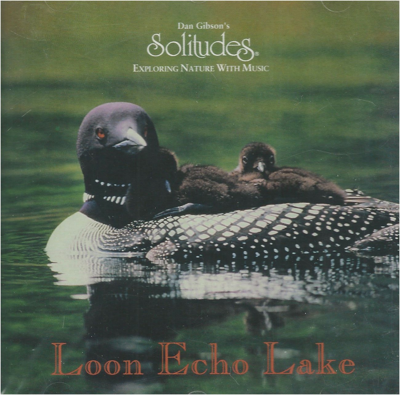 Loon Echo Lake - 9115