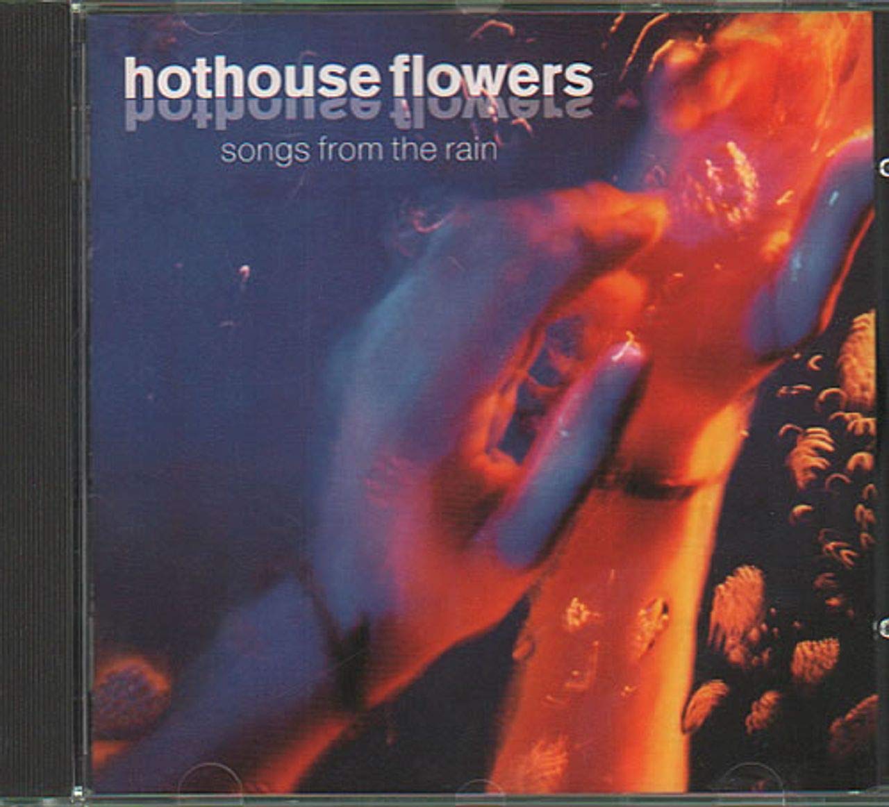 Songs From the Rain - 7233