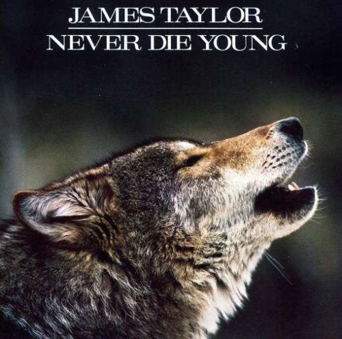 Never Die Young - 8045