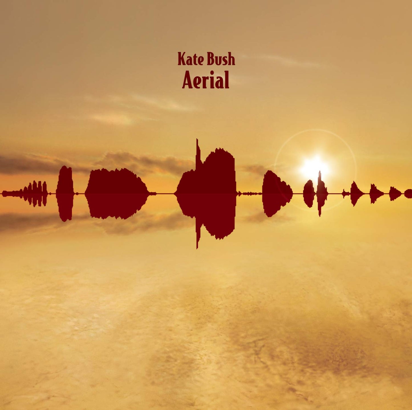Aerial - 349