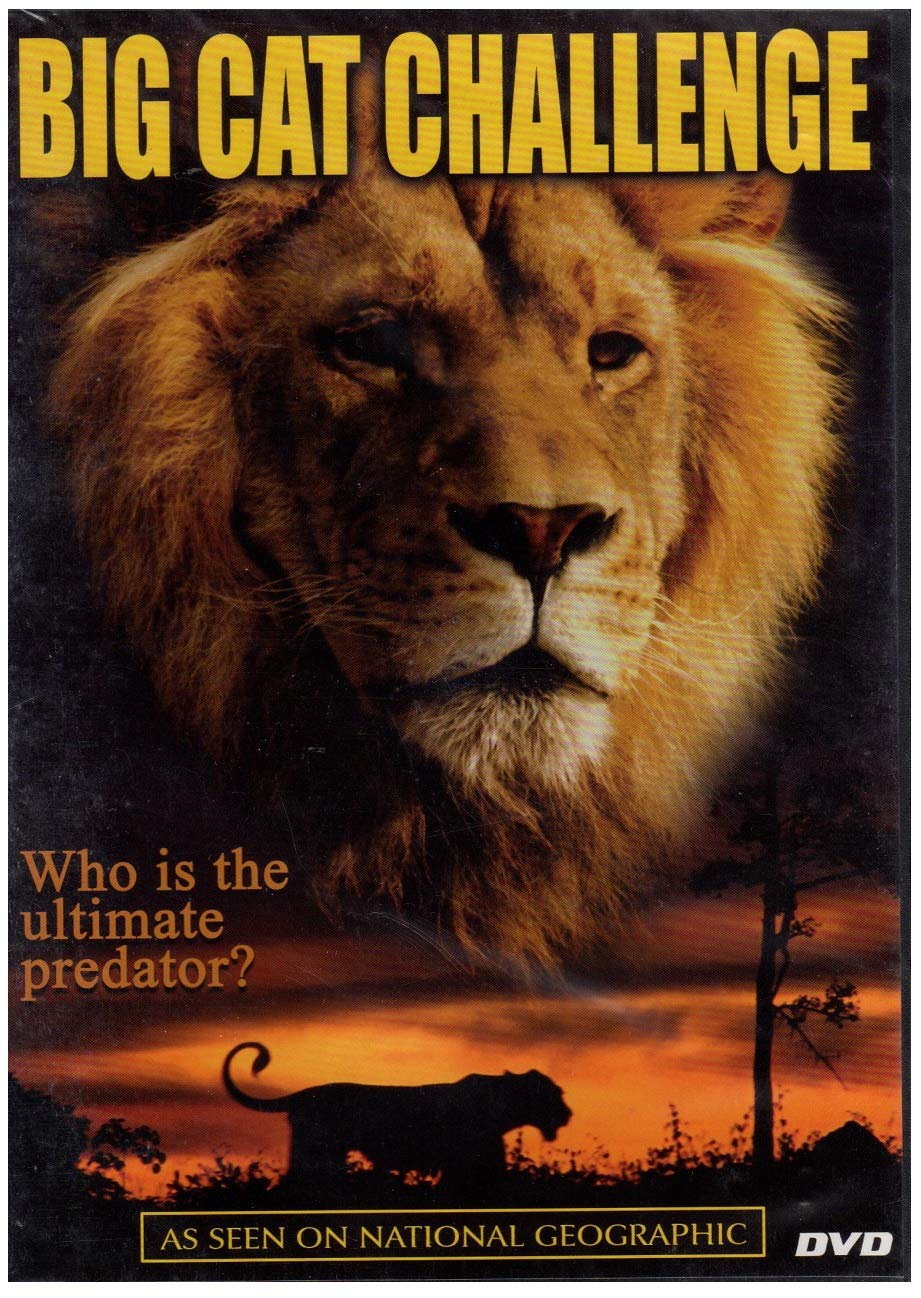 Big Cat Challenge - 4767