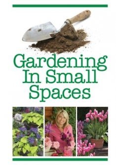 Gardening In Small Spaces - 5802