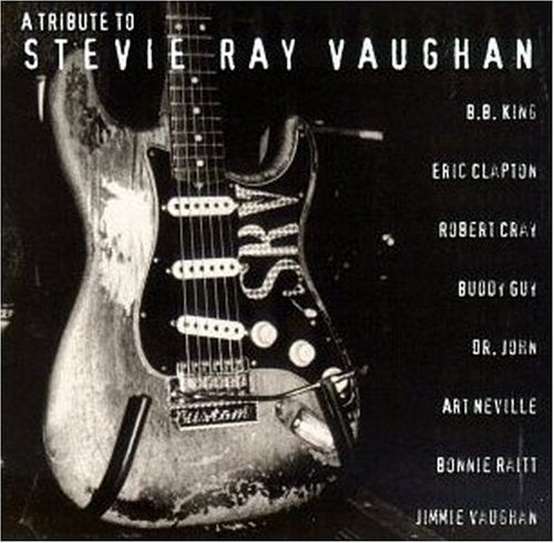 A Tribute To Stevie Ray Vaughan - 8827
