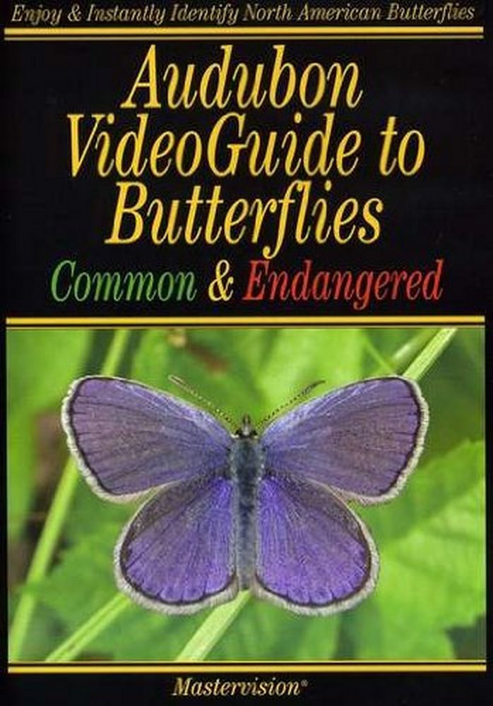 Audubon: Butterflies Common & Endangered - 2673
