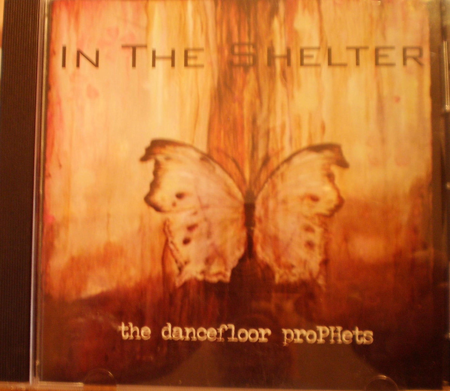 In the shelter - 4415