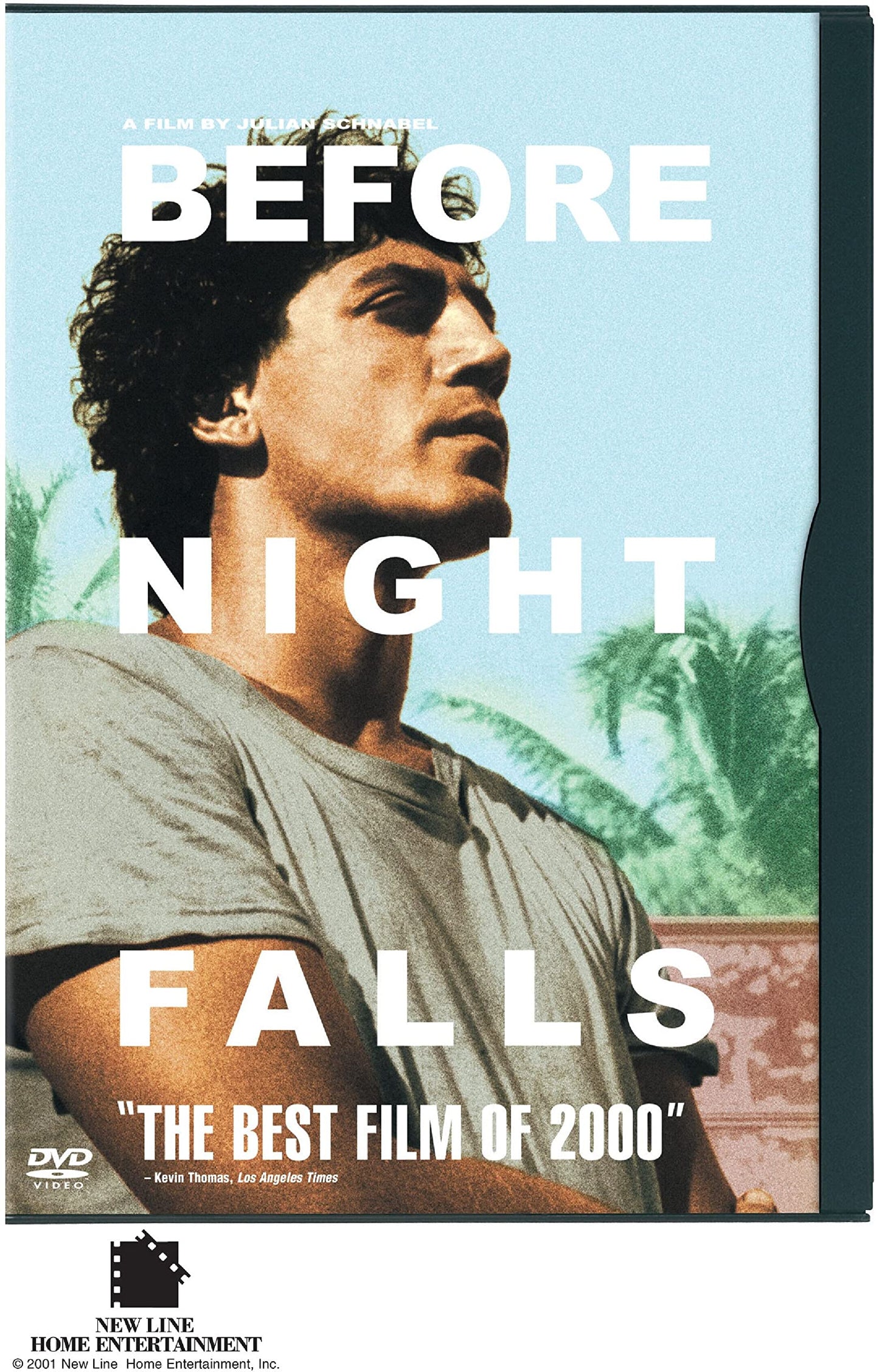 Before Night Falls (DVD) - 7248