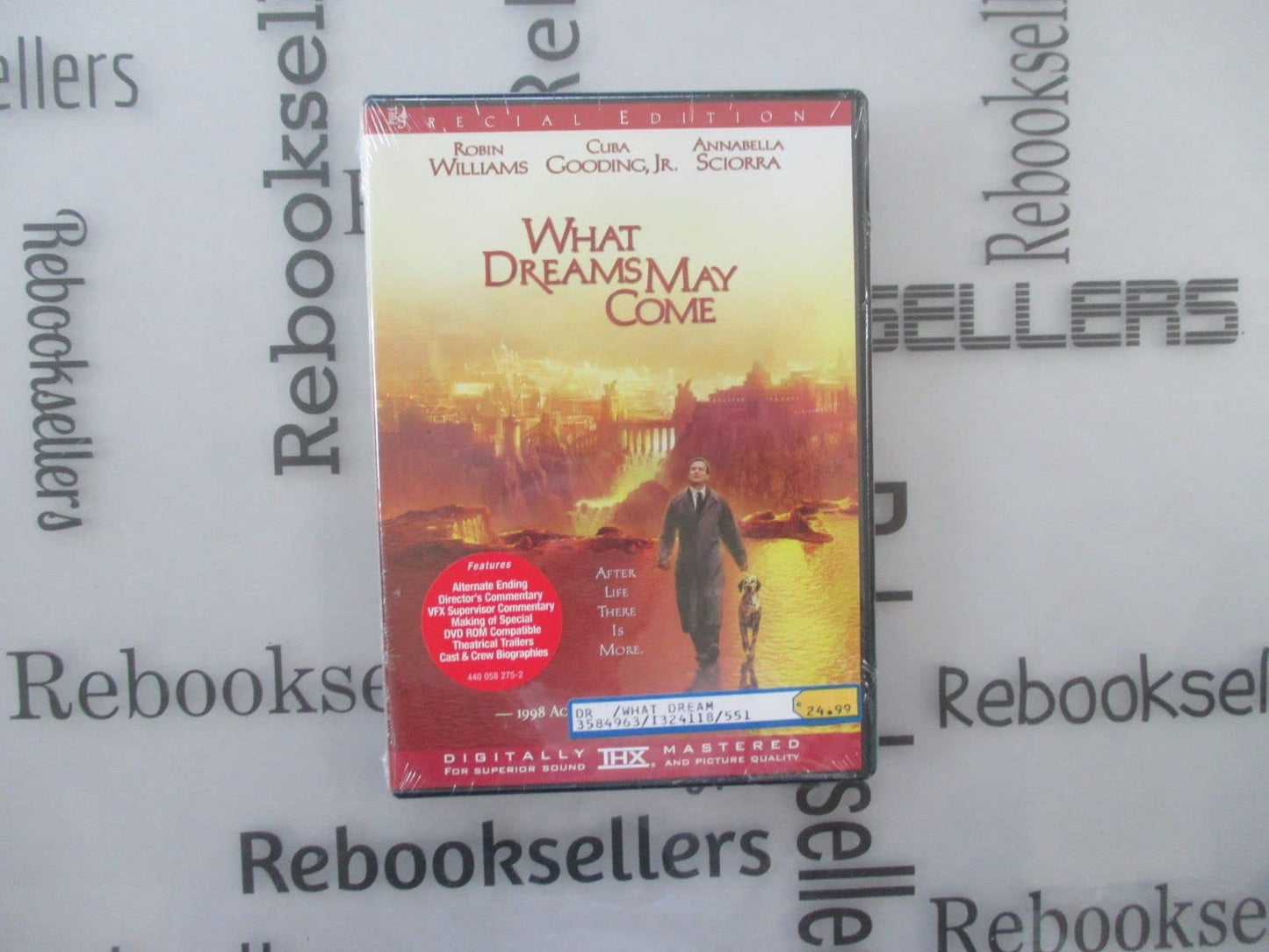 What Dreams May Come - 8267