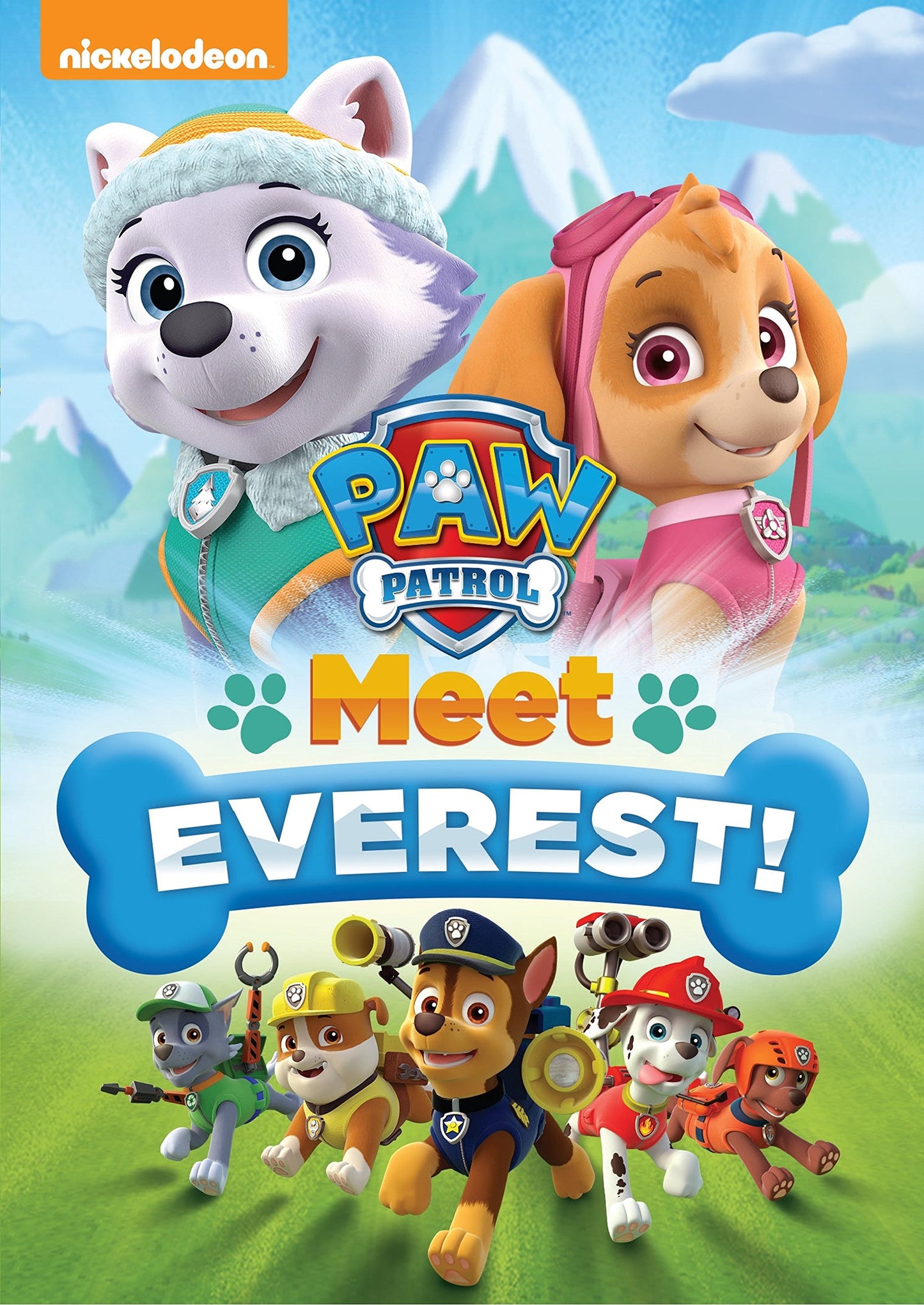Paw Patrol: Meet Everest! - 4064