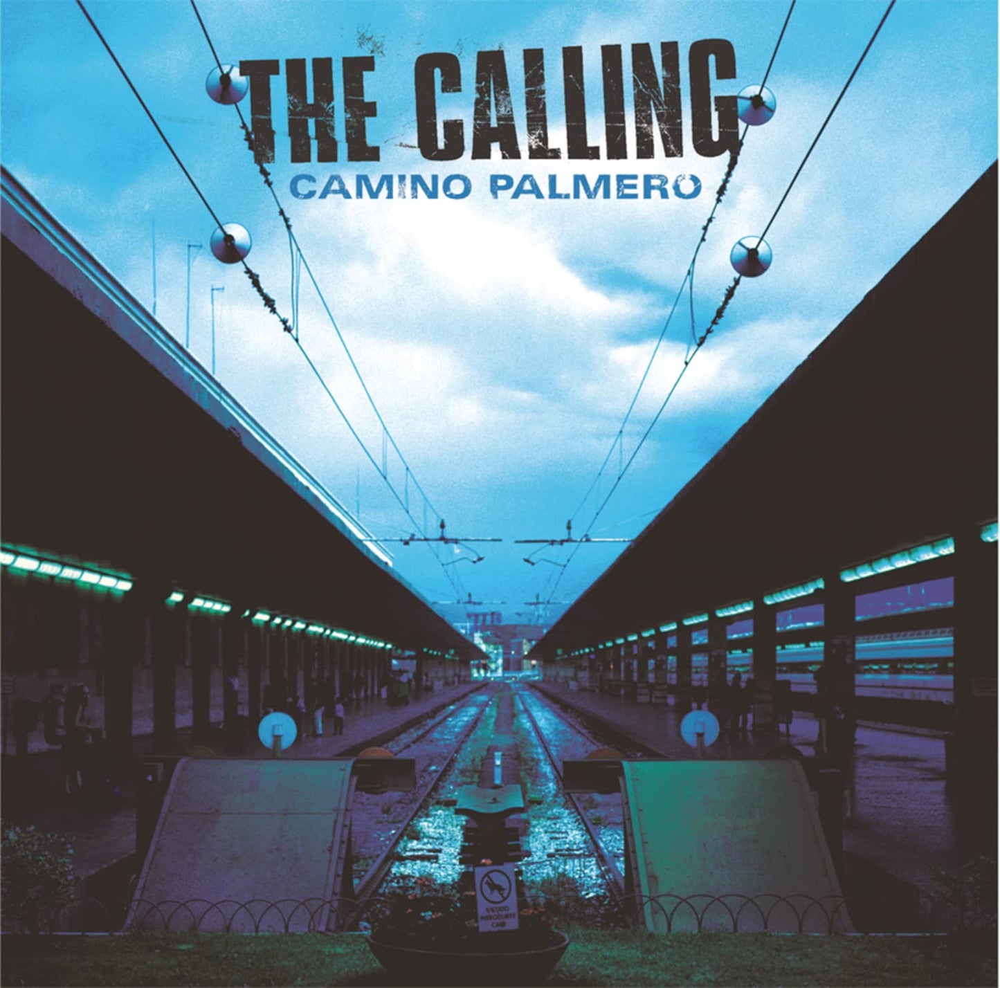 Camino Palmero - 1450