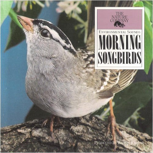 Morning Songbirds - Environmental Sounds - 12