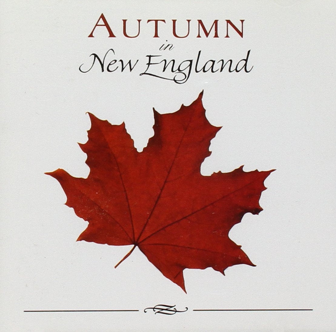 Autumn in New England - 1315