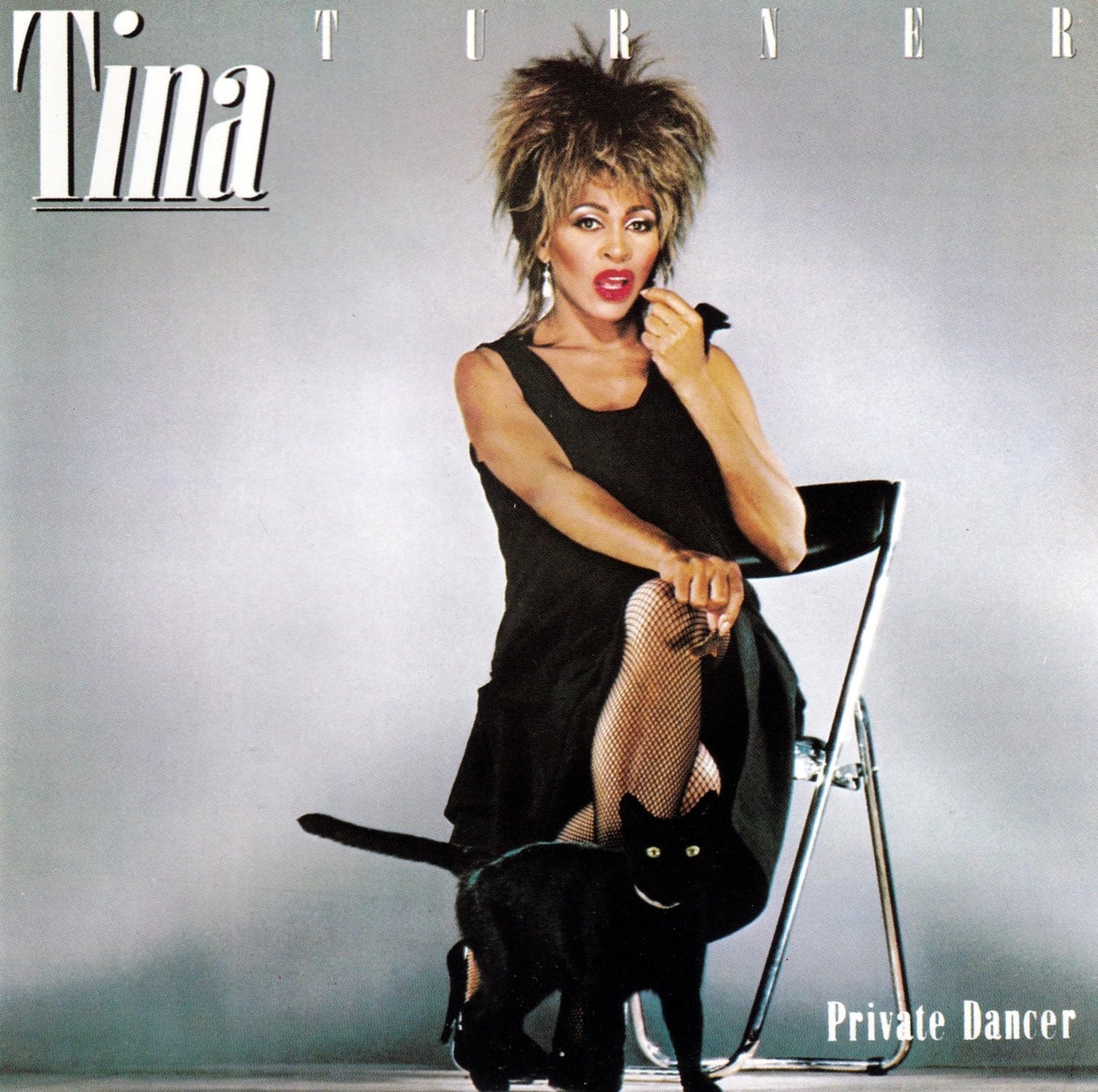 Private Dancer - 4248