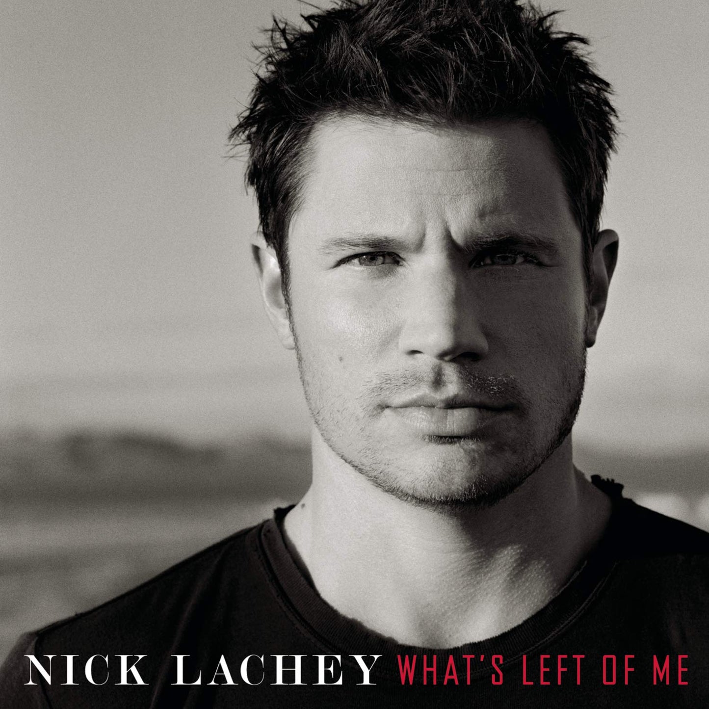 What's Left Of Me - 3856