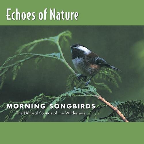 Echoes of Nature: Morning Songbirds - 3144