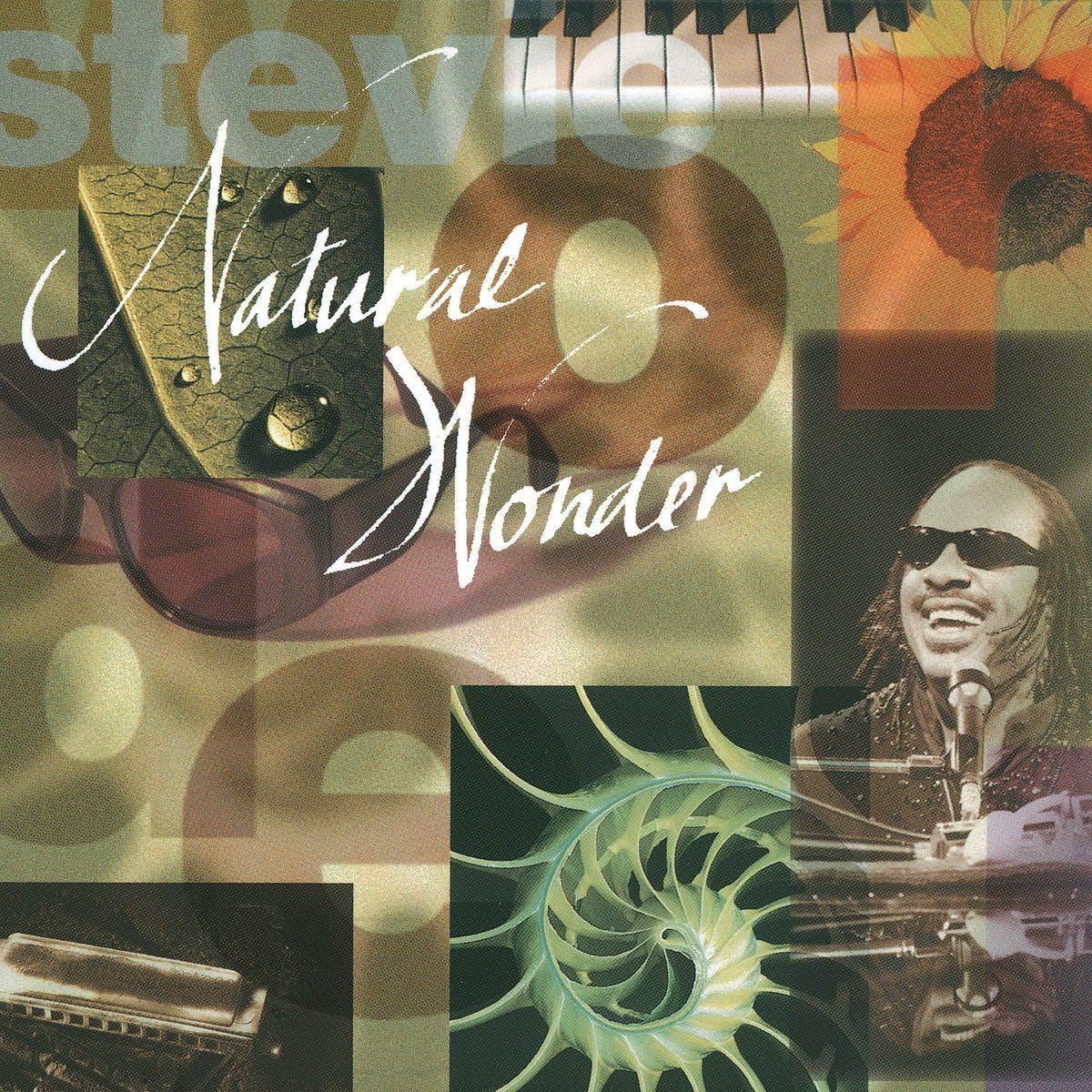 Natural Wonder: Live in Concert - 7276