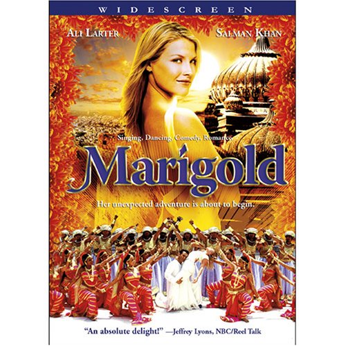 Marigold - 4655