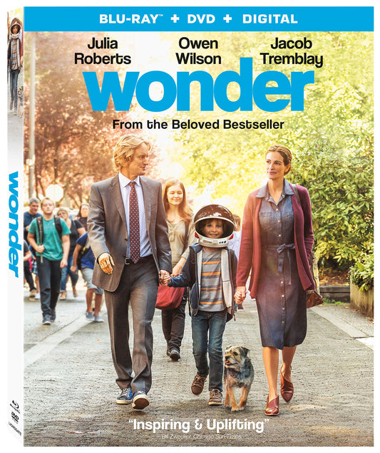 Wonder - 3958