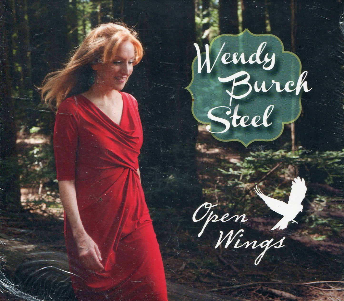 Open Wings - 1311