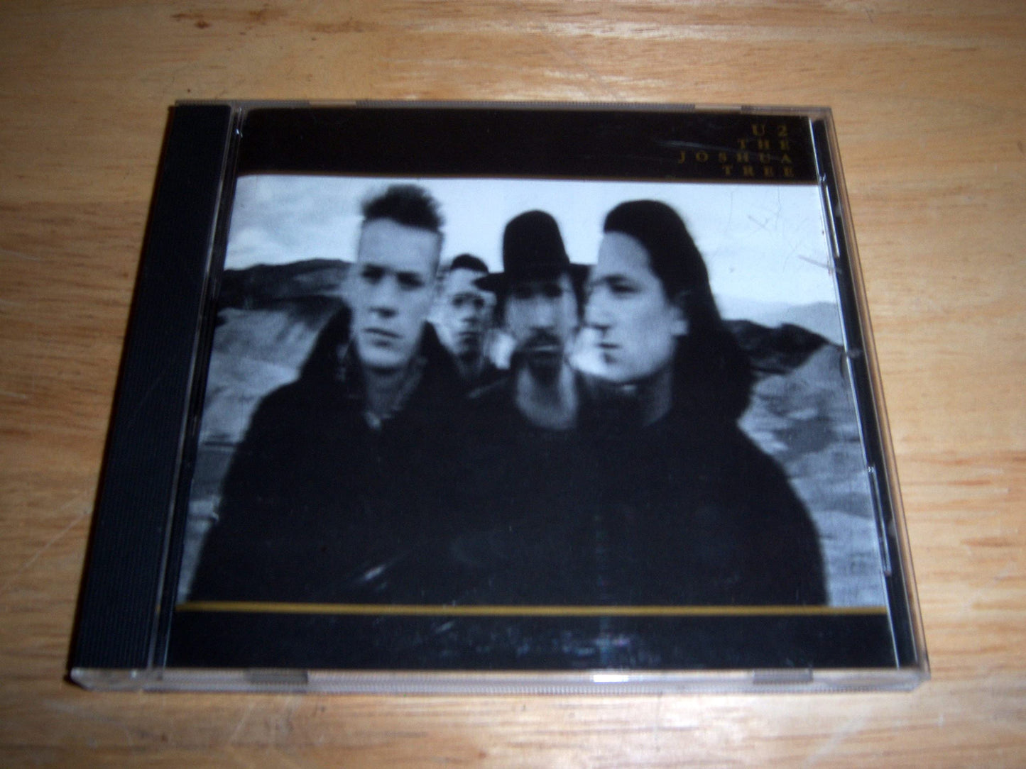 The Joshua Tree - 9751