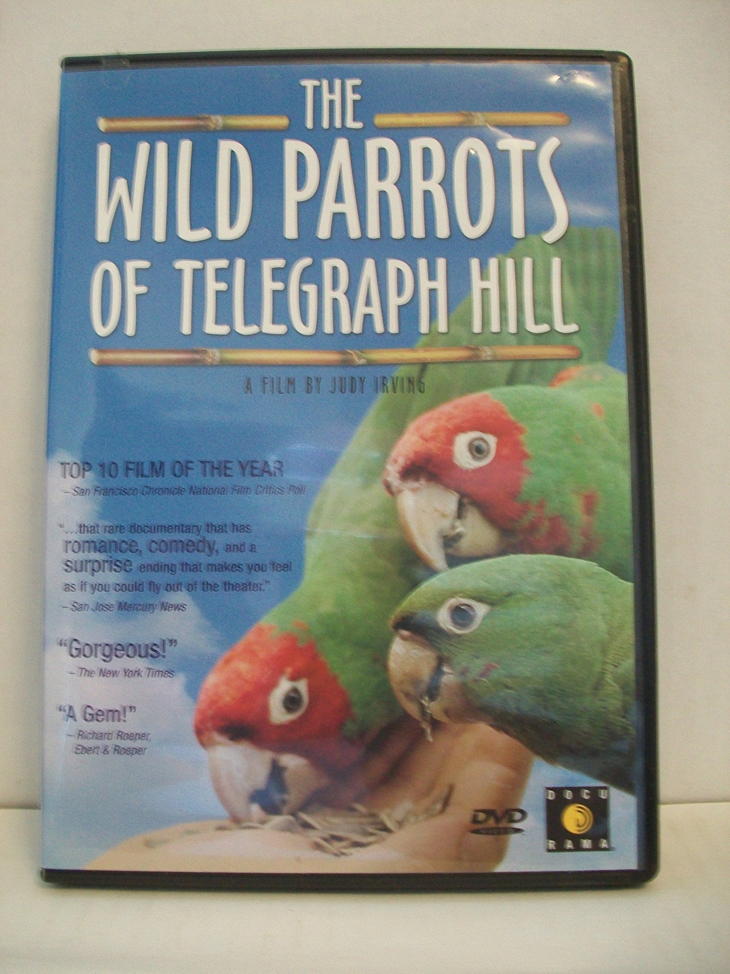 The Wild Parrots of Telegraph Hill - 8137