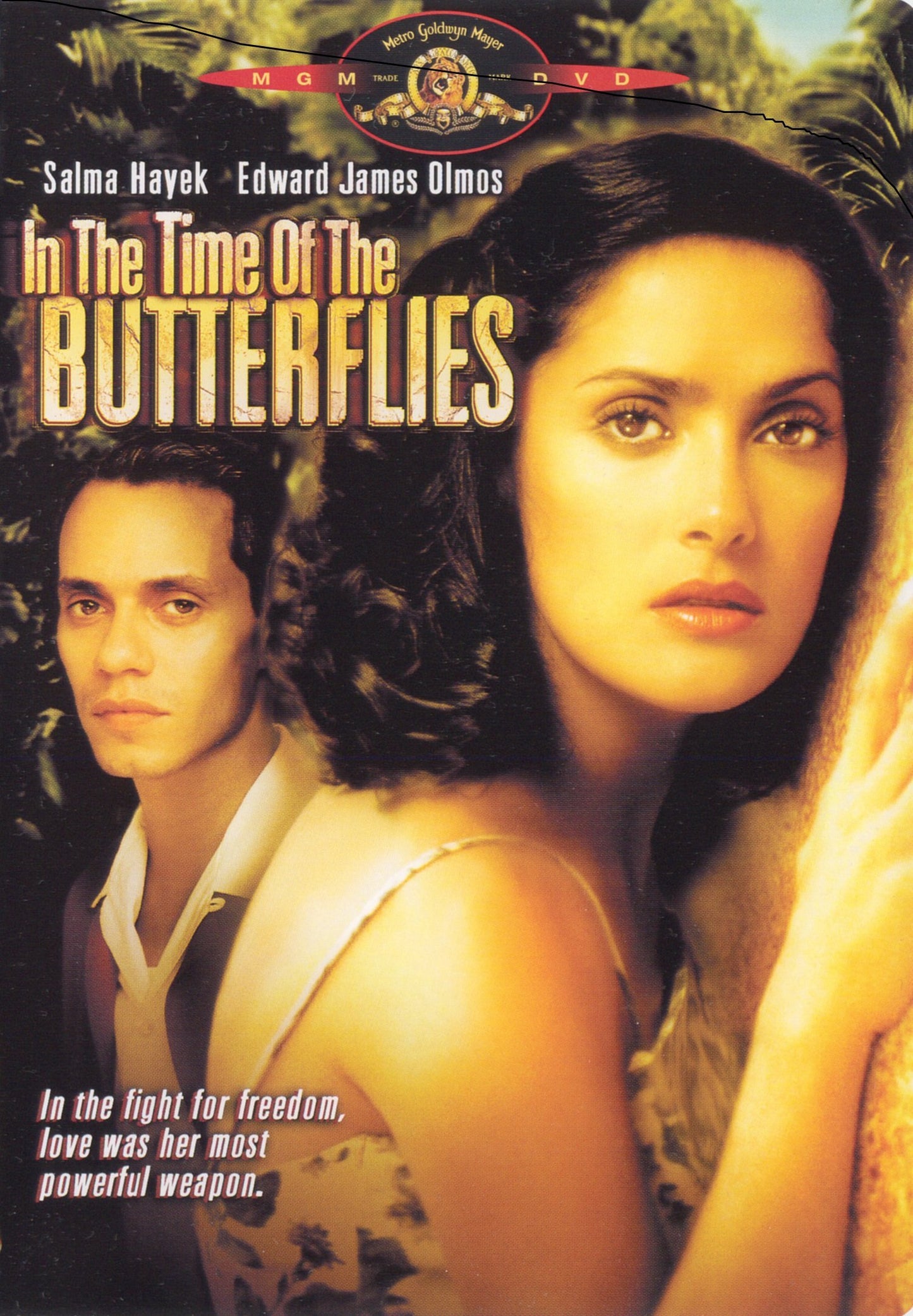 In the Time of the Butterflies [DVD] - 4130