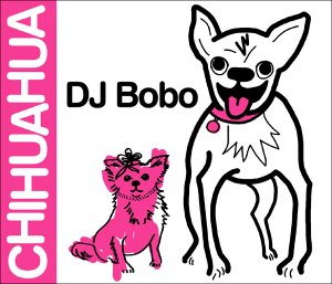 Chihuahua - 7484