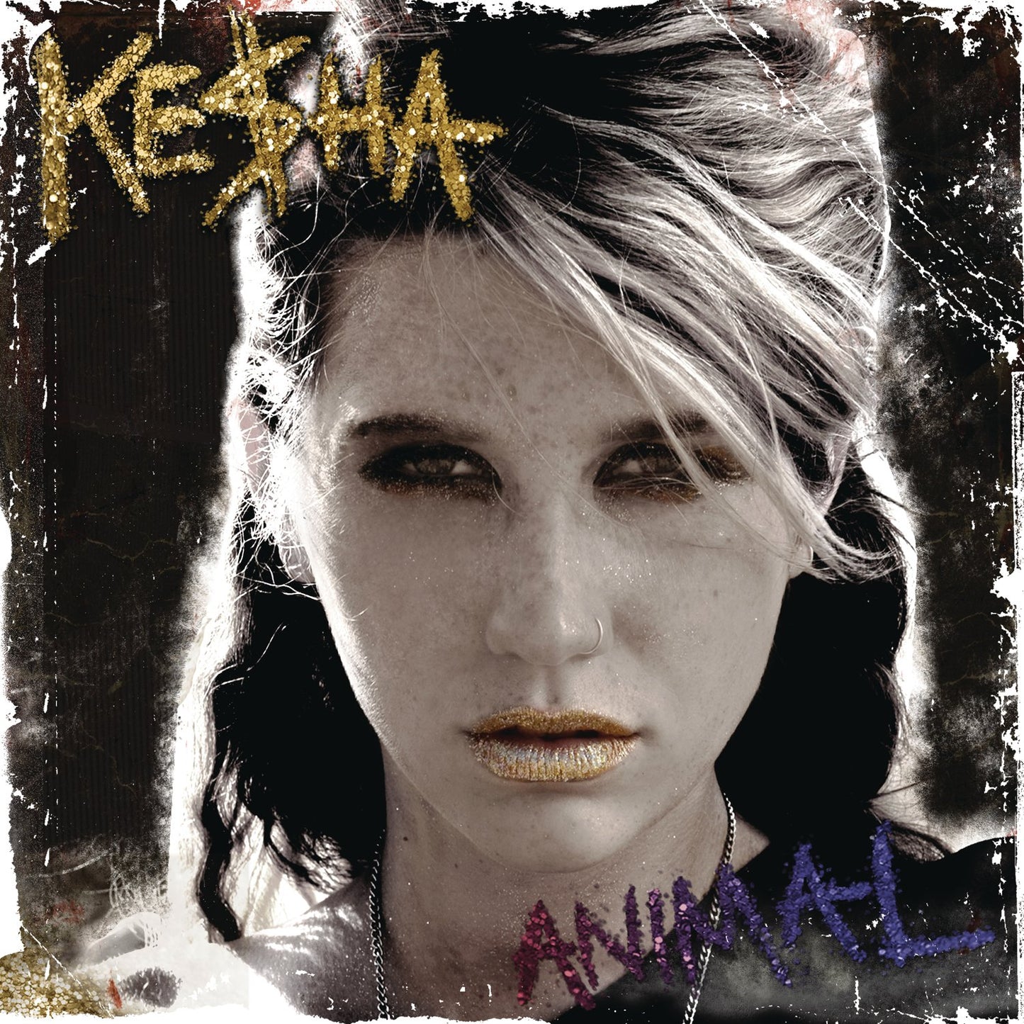 Animal - 8289
