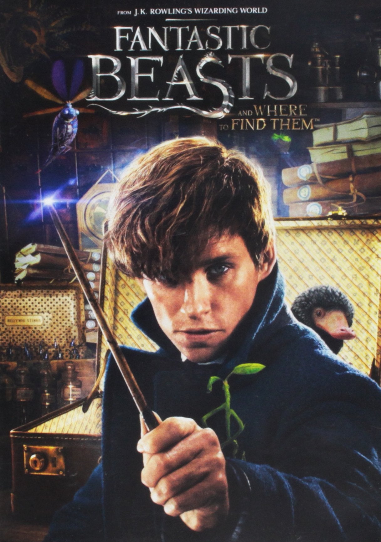 Fantastic Beasts and Where to Find Them (Wal-Mart) (DVD) - 6158