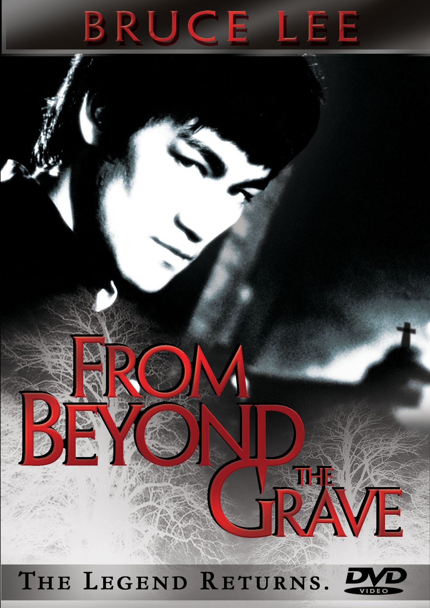 Bruce Lee From Beyond the Grave - 5613