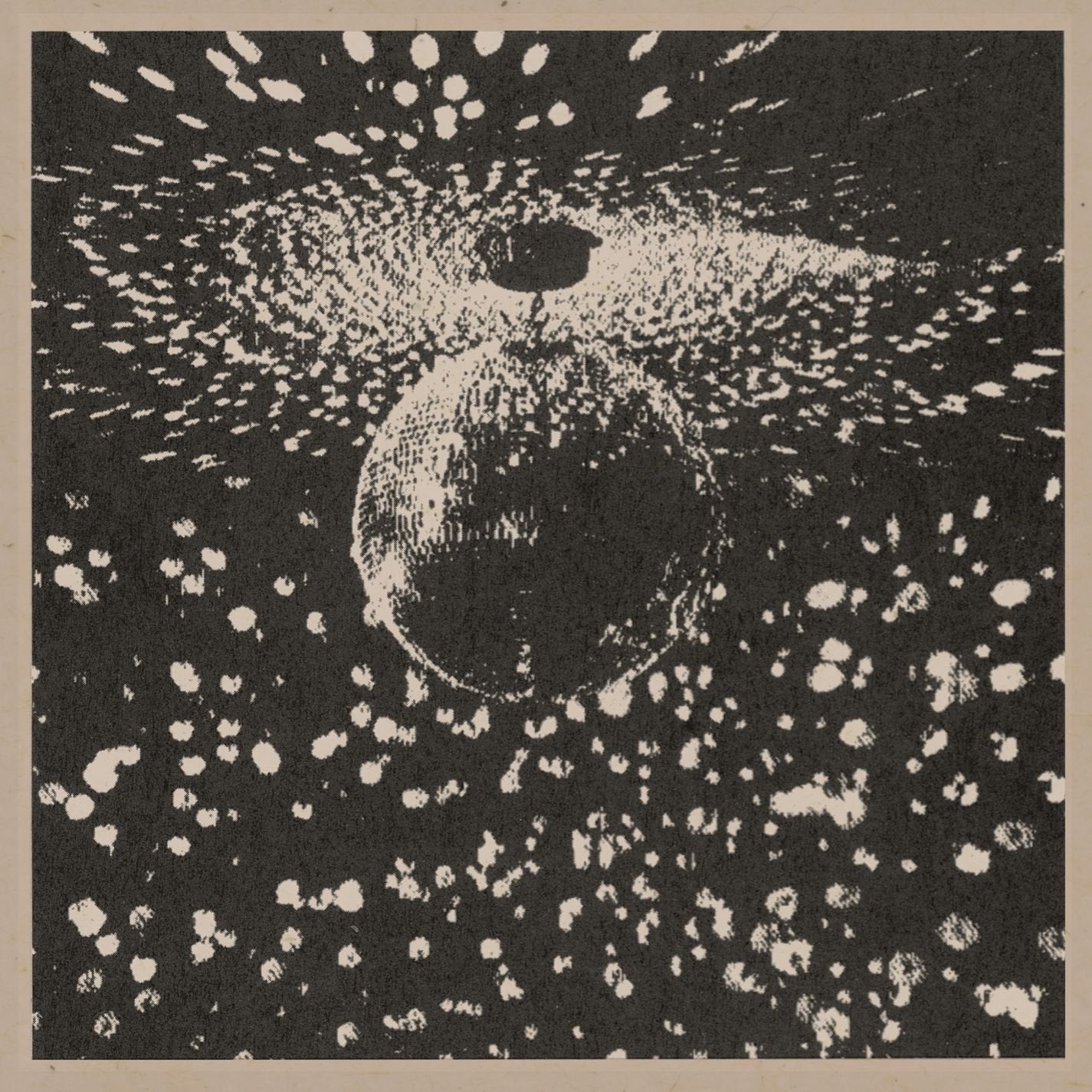 Mirror Ball - 2831