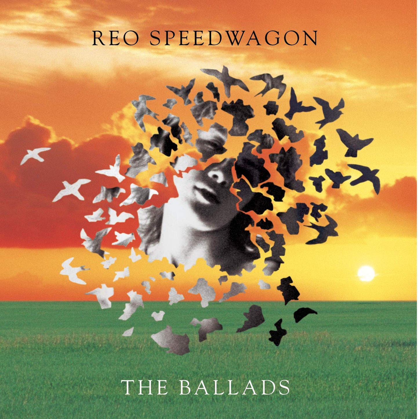 The Ballads - 8294