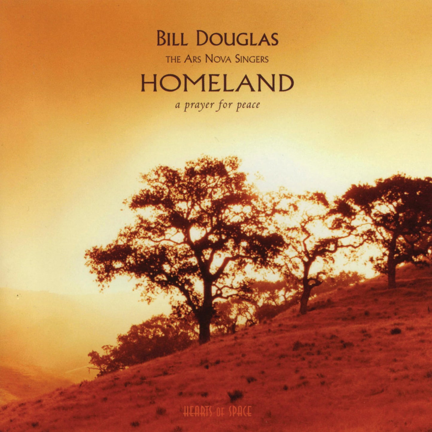 Homeland: A Prayer for Peace - 582