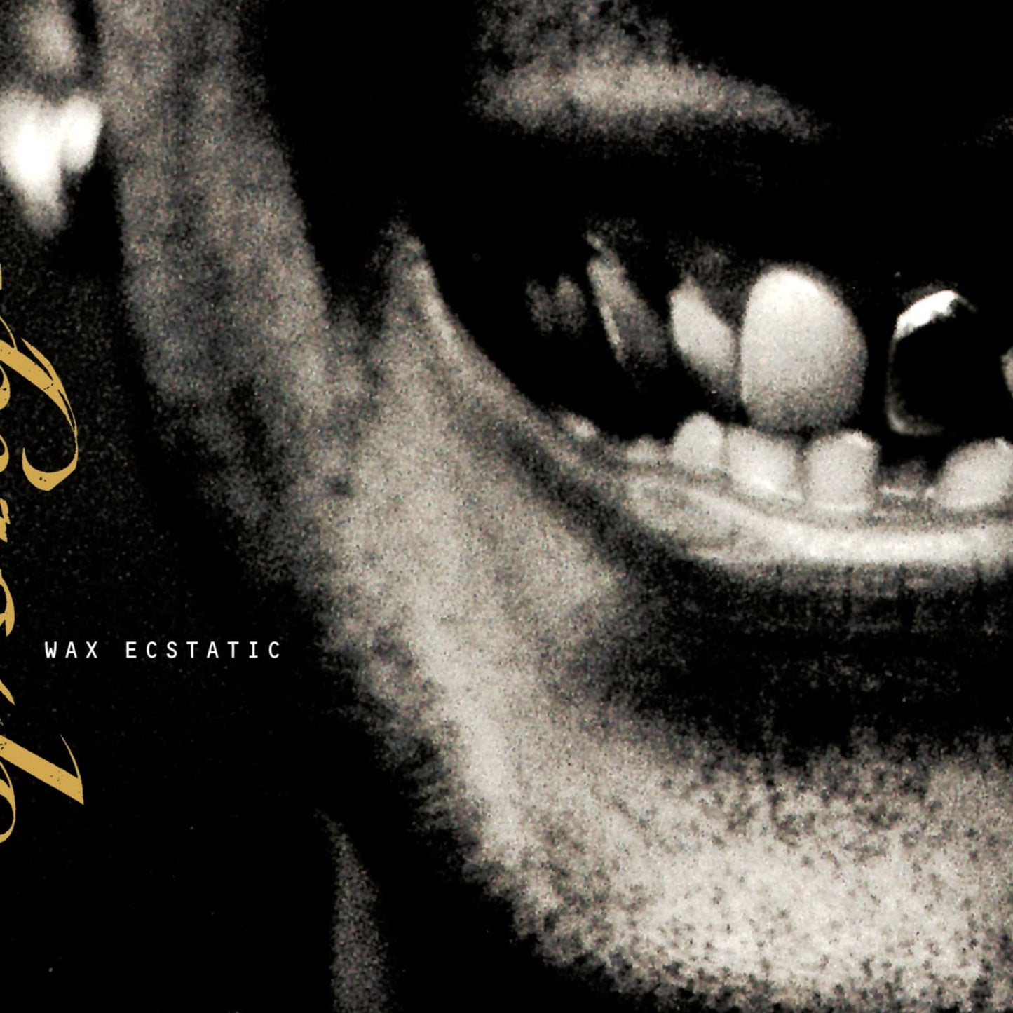 Wax Ecstatic - 5688
