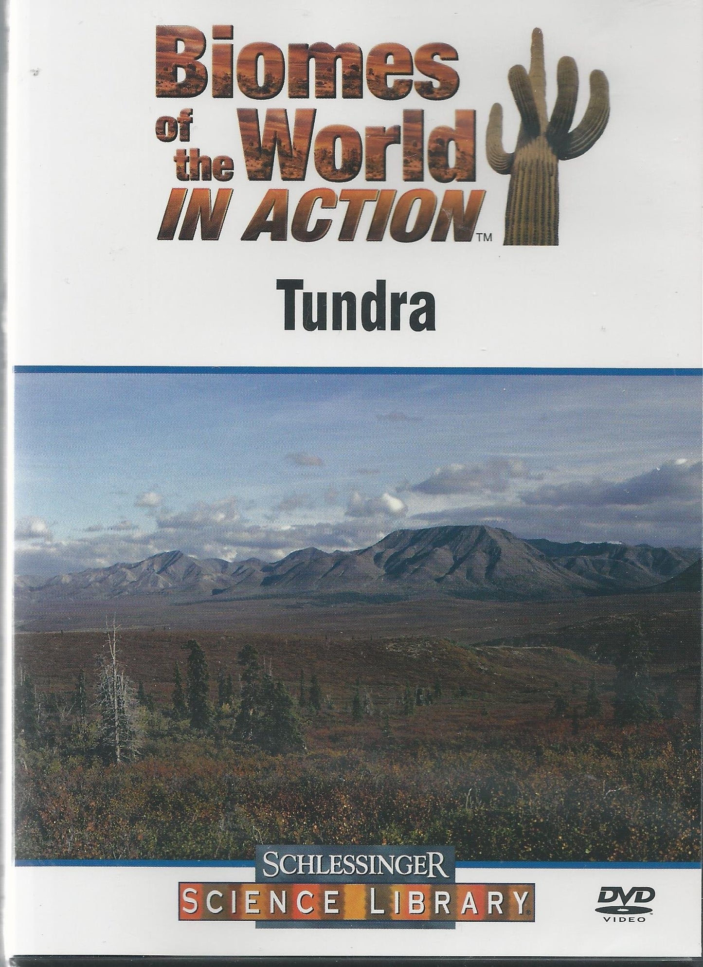 Tundra (Biomes of the World in Action) - 9231