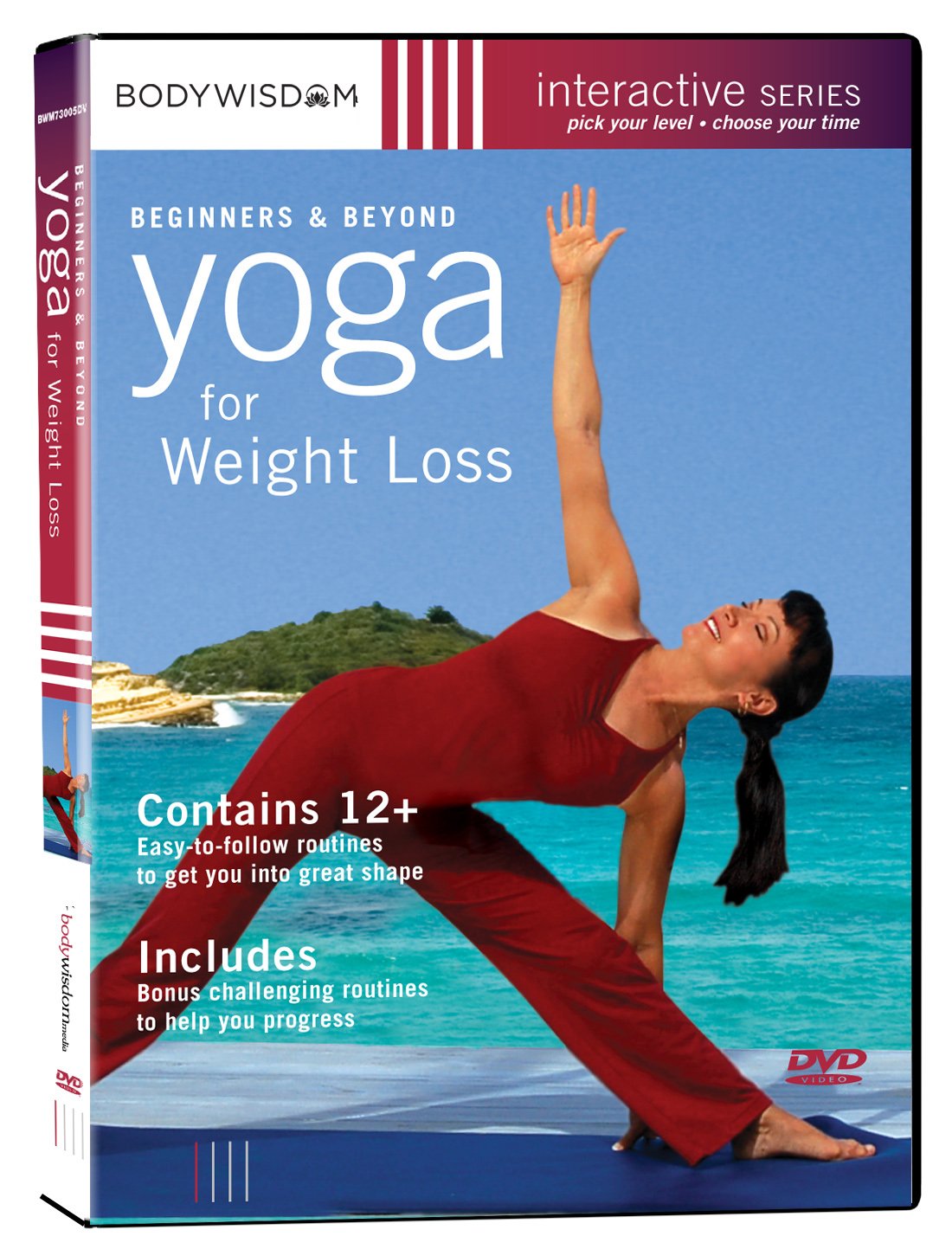 Yoga for Weight Loss DVD - Beginners and Beyond. Great Beginners Yoga Video Workouts to Lose Weight, Increase Strength & Flexibility, Reduce Stress. - 8676