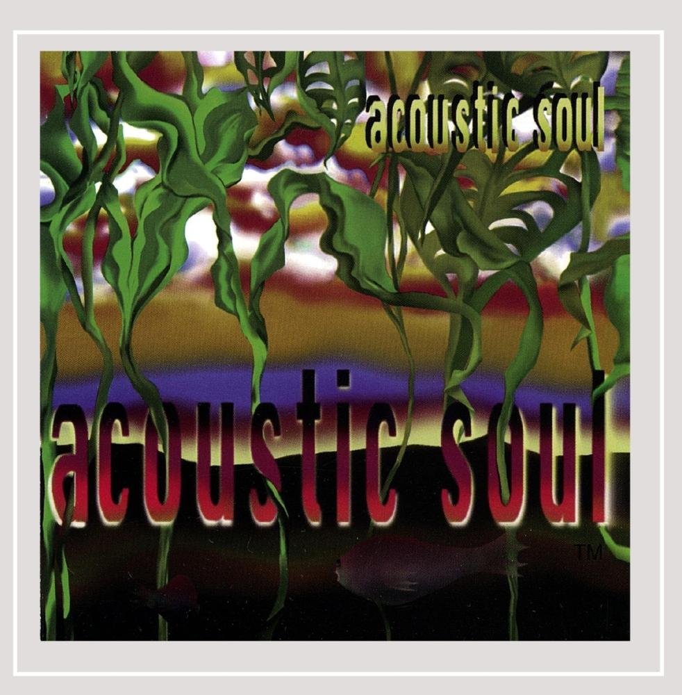 Acoustic Soul - 491