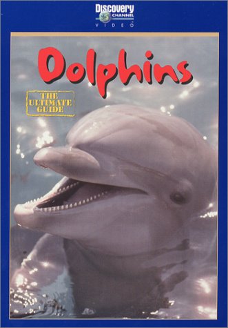 Dolphins - The Ultimate Guide - 5811