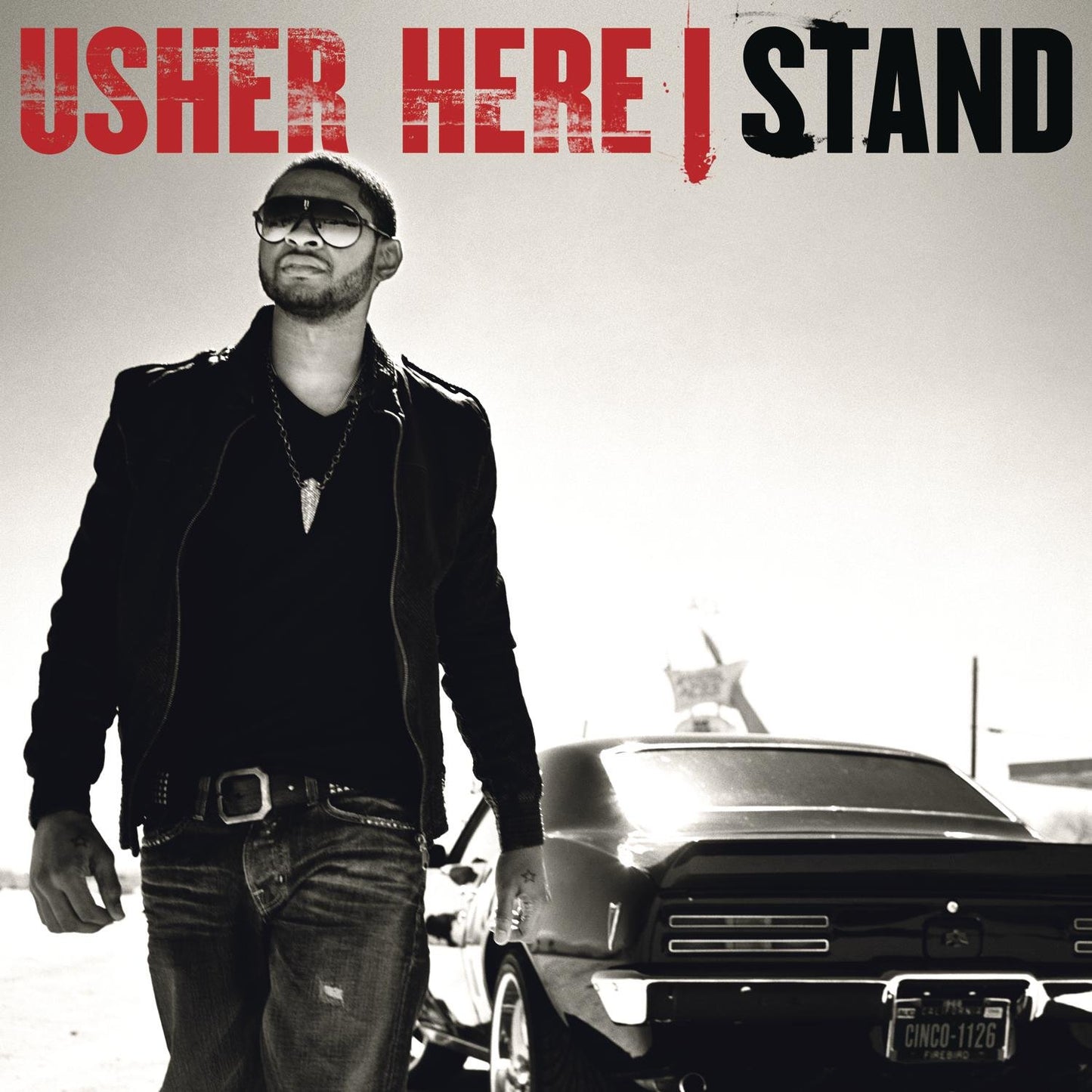 Here I Stand - 8481