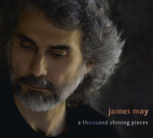 A Thousand Shining Pieces - 331