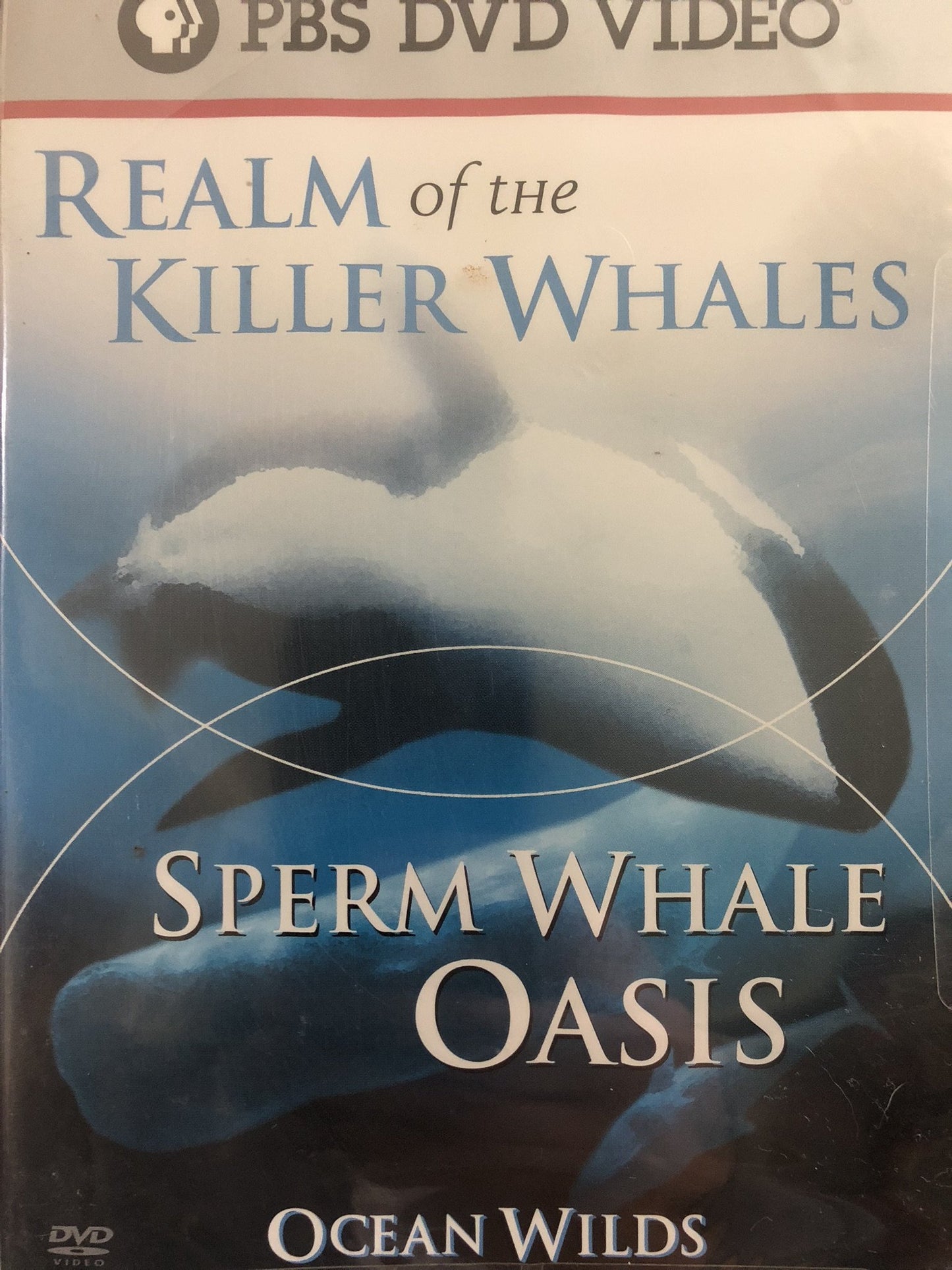 Ocean Wilds: Realm of the Killer Whales/Sperm Whale Oasis [DVD] - 8188