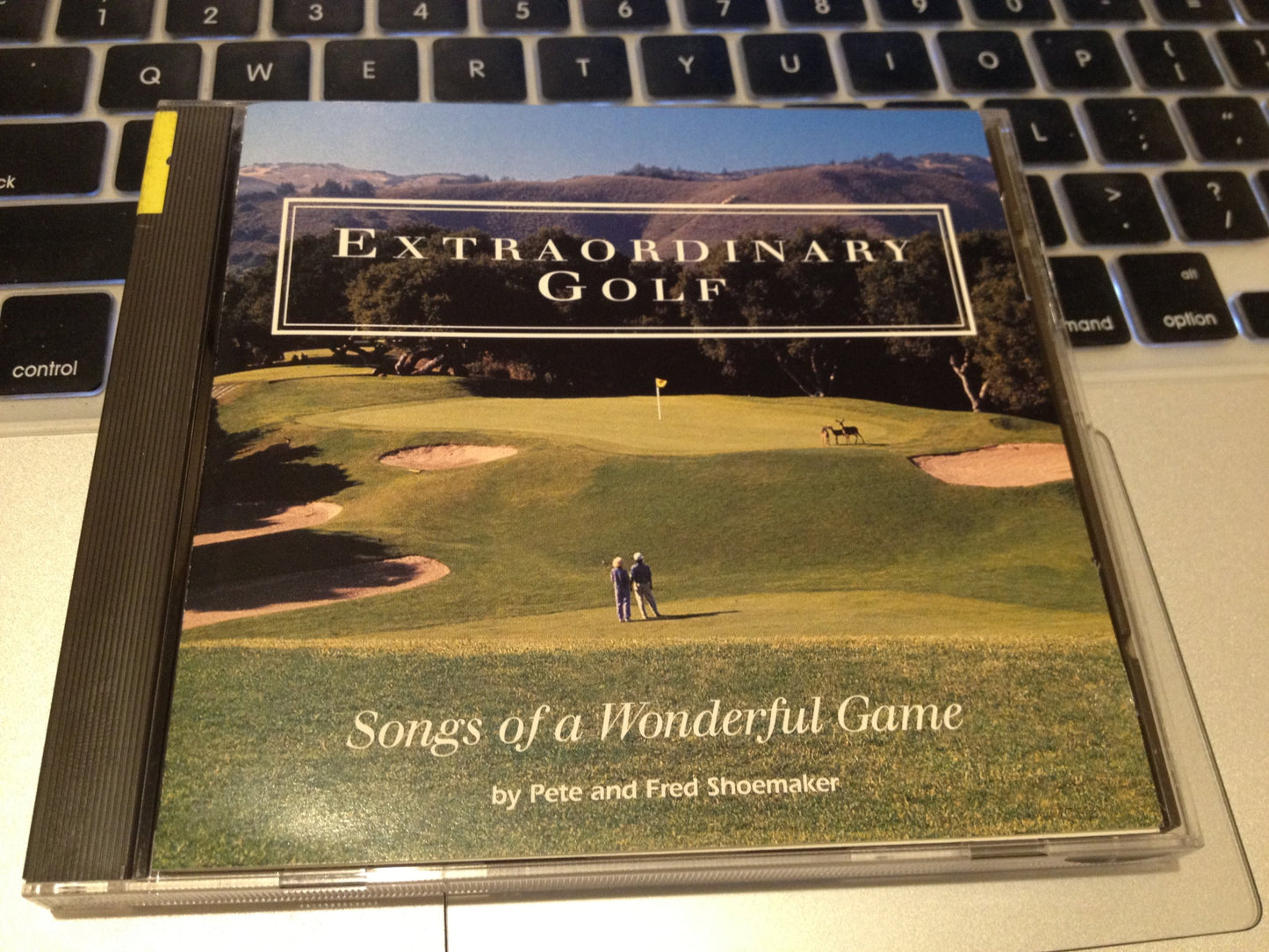 Golf Swings - 7411