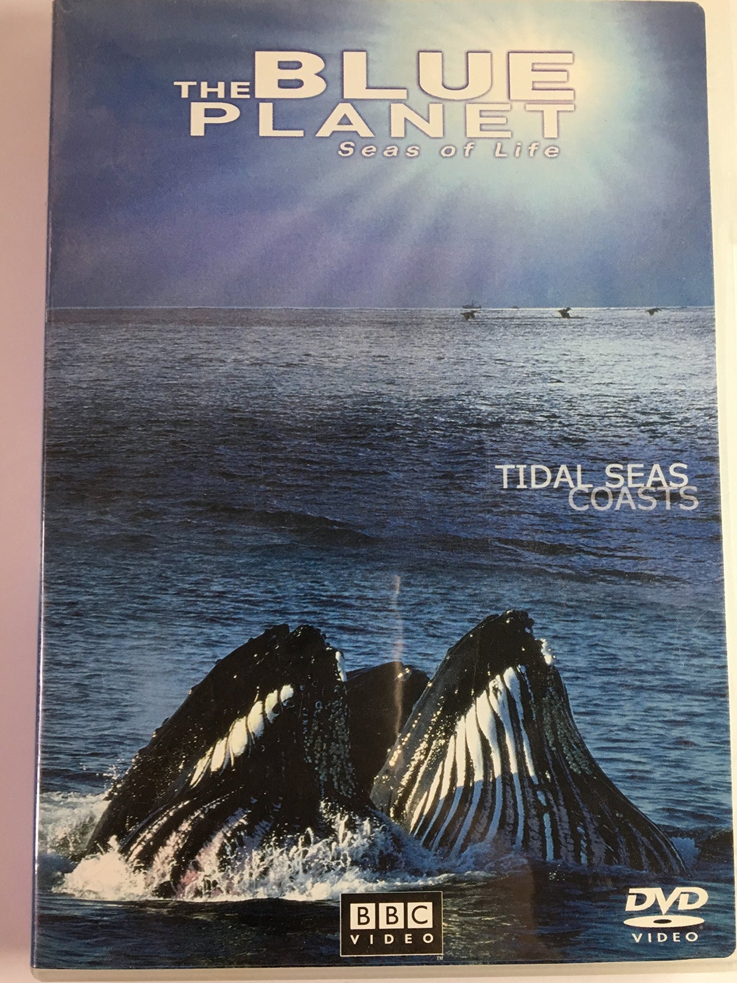 The Blue Planet - Seas Of Life, Part 4 - Tidal Seas Coasts - 6973